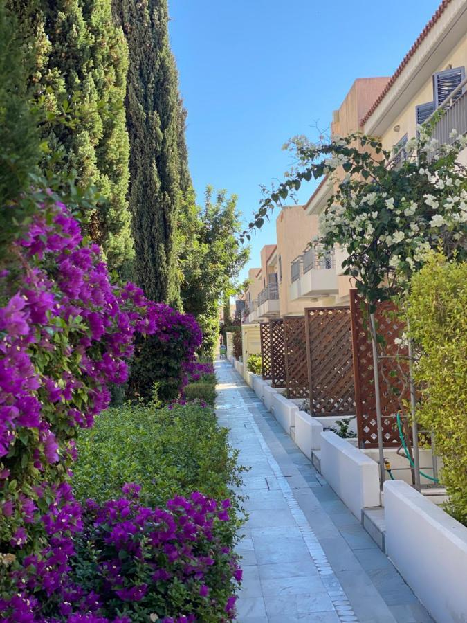 Queens Garden Walking Distance To The Beach Paphos Eksteriør billede